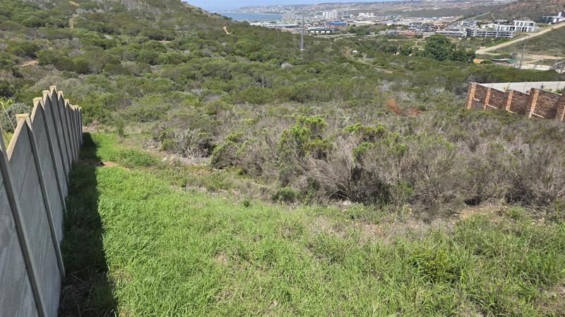 0 Bedroom Property for Sale in Seemeeu Park Western Cape